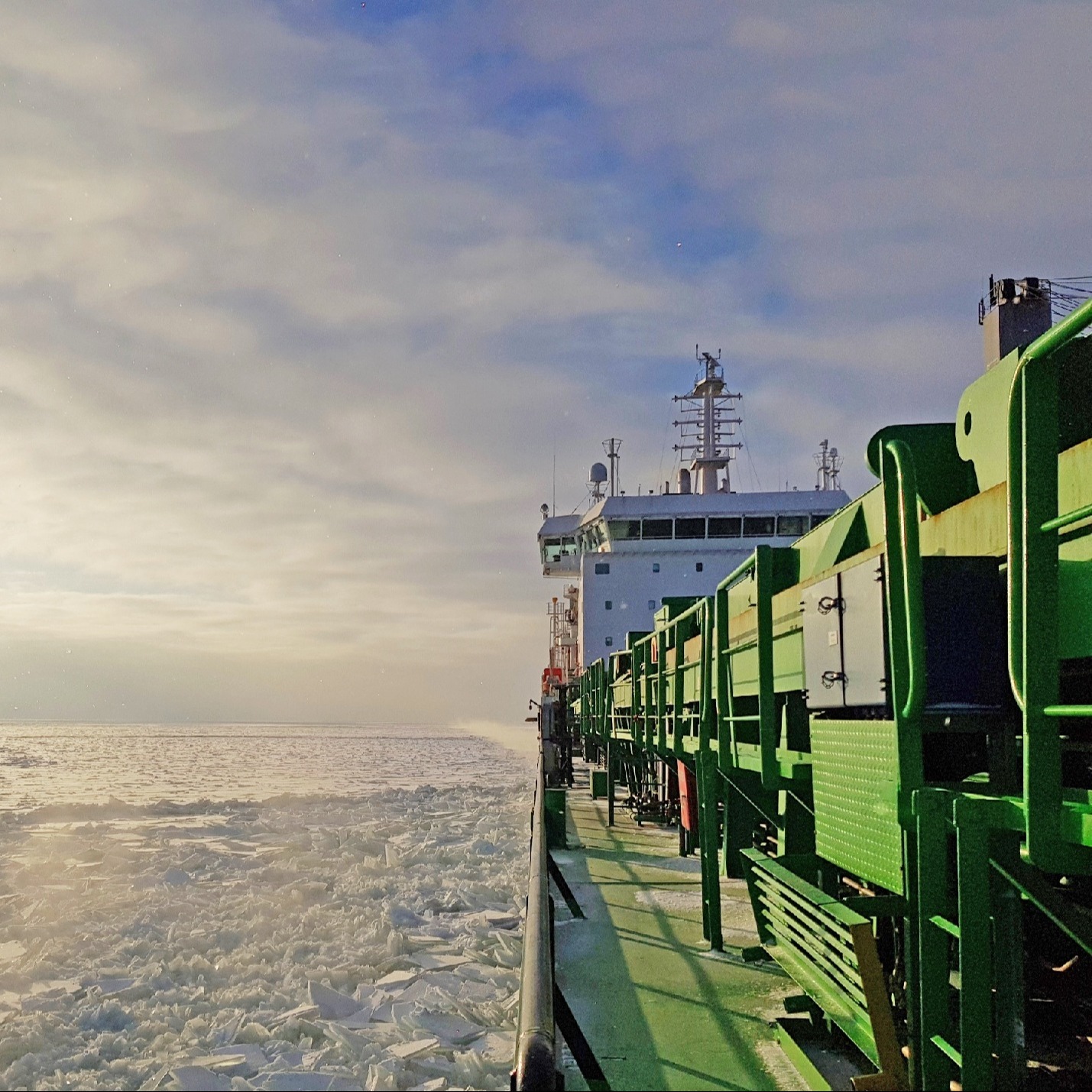 Viikki_20190201_133845-1-1 Viikki_20190201_133845-1-1