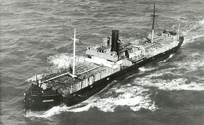 Arkadia Arkadia